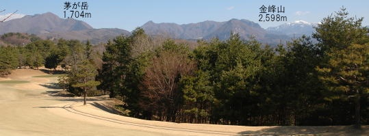 mizugaki_539